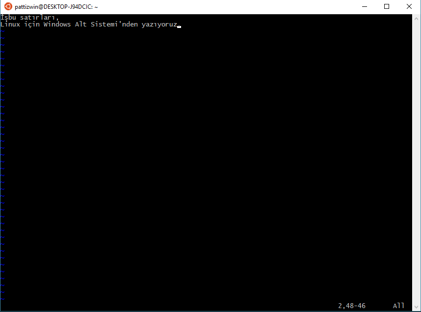 Ubuntu Bash (Ubuntu Bash manzarası)